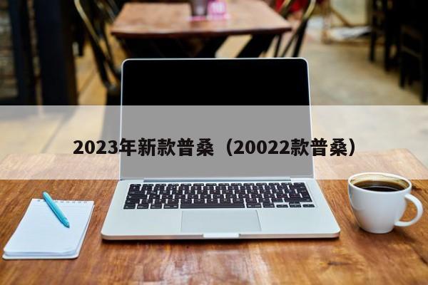 2023年新款普桑（20022款普桑）