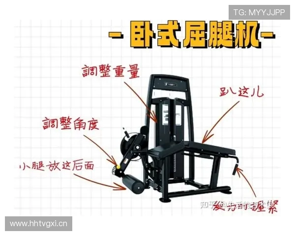 练臀部的健身器材图片展示与使用指南 练臀部的健身器材图片展示与使用指南
